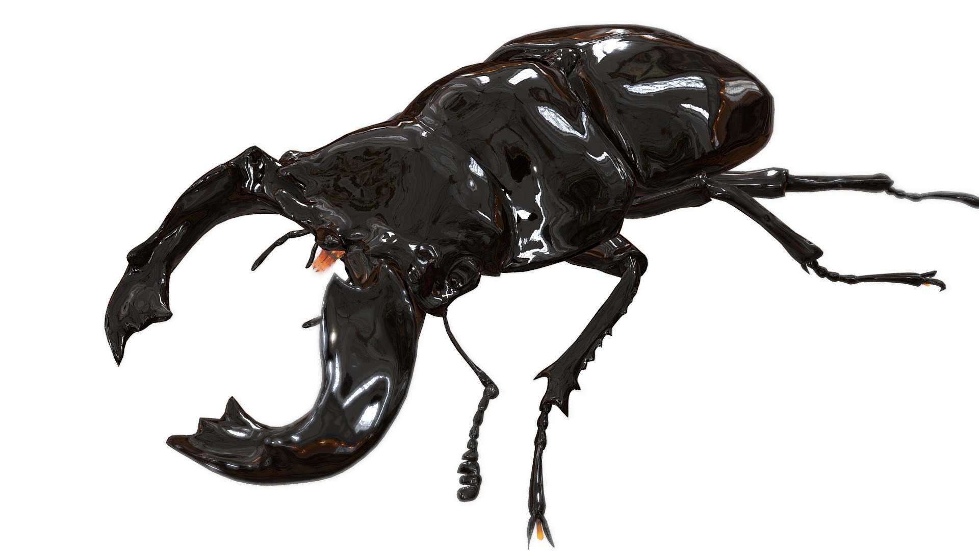 3D model Mesotopus tarandus - This is a 3D model of the Mesotopus tarandus. The 3D model is about a black beetle with a white background.