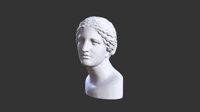Bust: VENUS 3D Model
