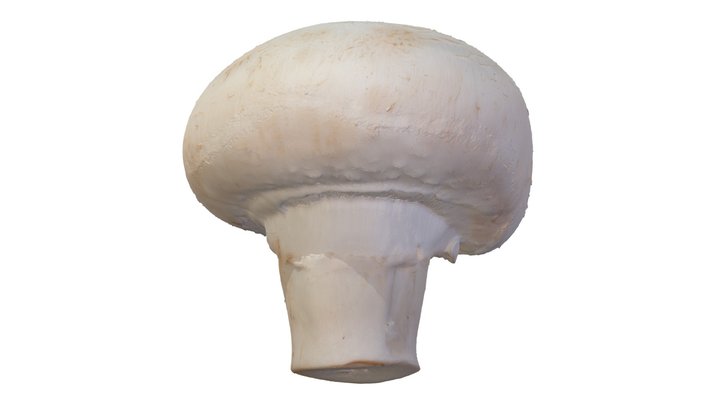 Mushroom (Agaricus bisporus)