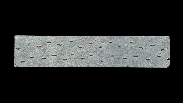 Adult Carrying Child - Fossilized Footprints 3D Model