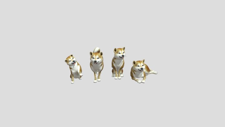 Dog With Tricks 3D Model