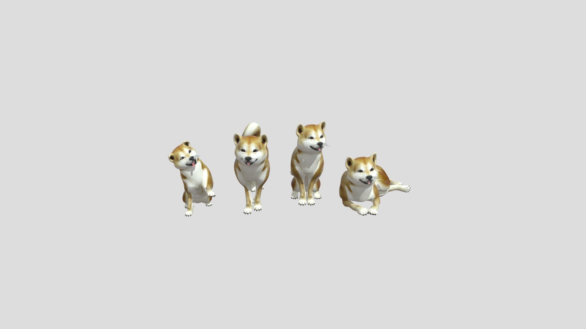 Dog With Tricks