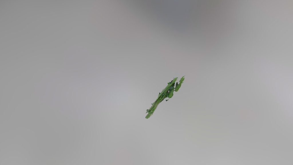 Project 7 Simplified 3d Mesh