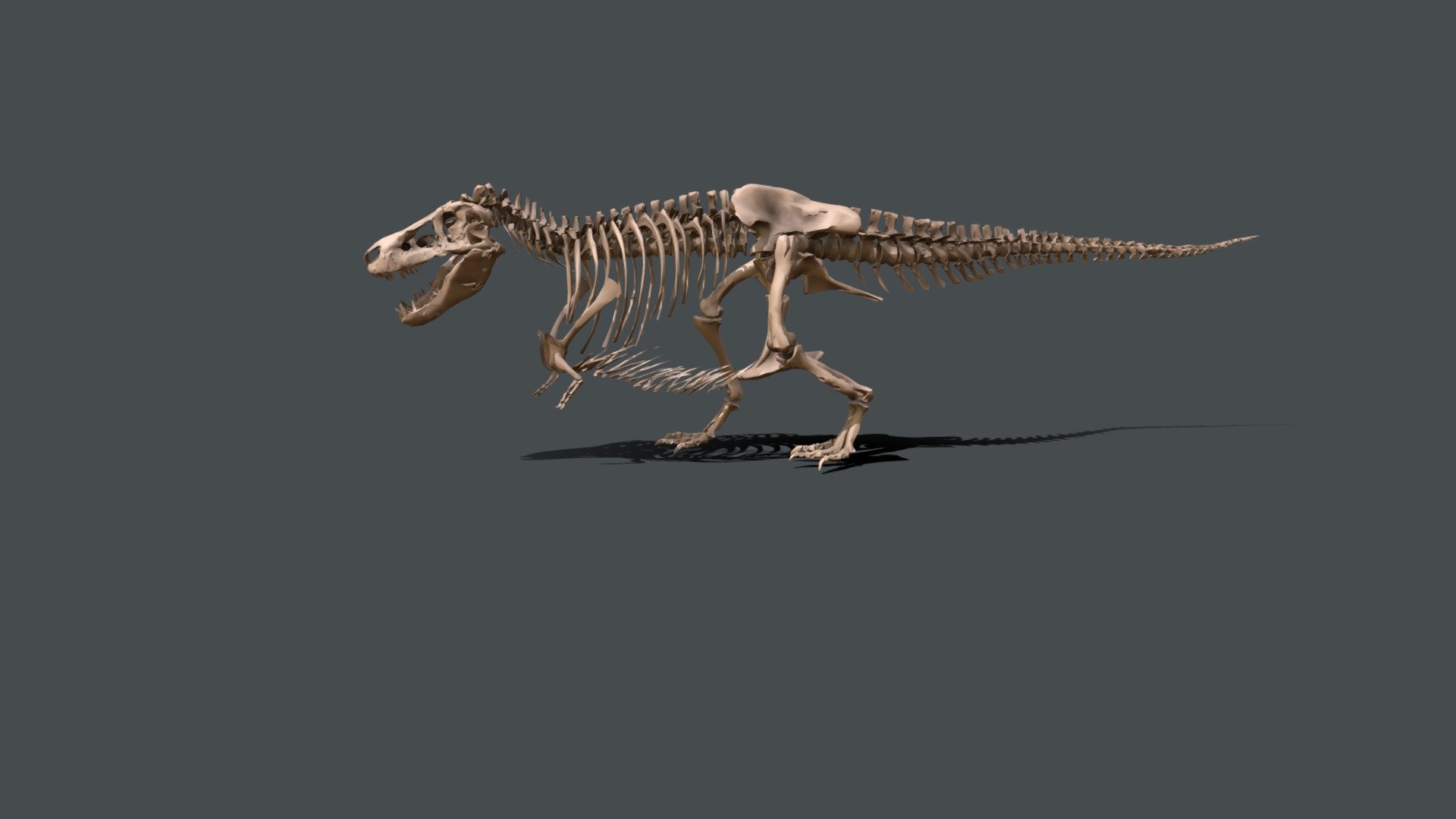 Chrome Dino 3D model