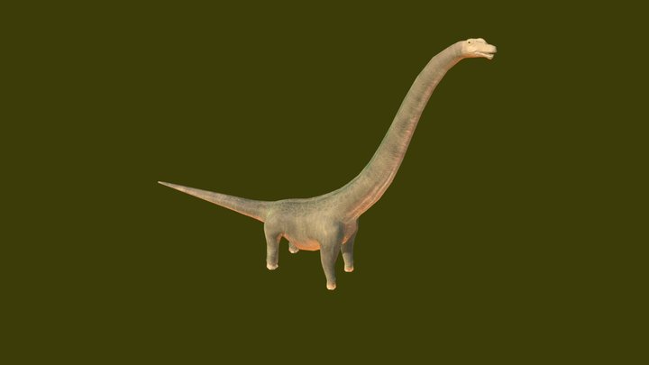 Argentinosaurus 3D Model