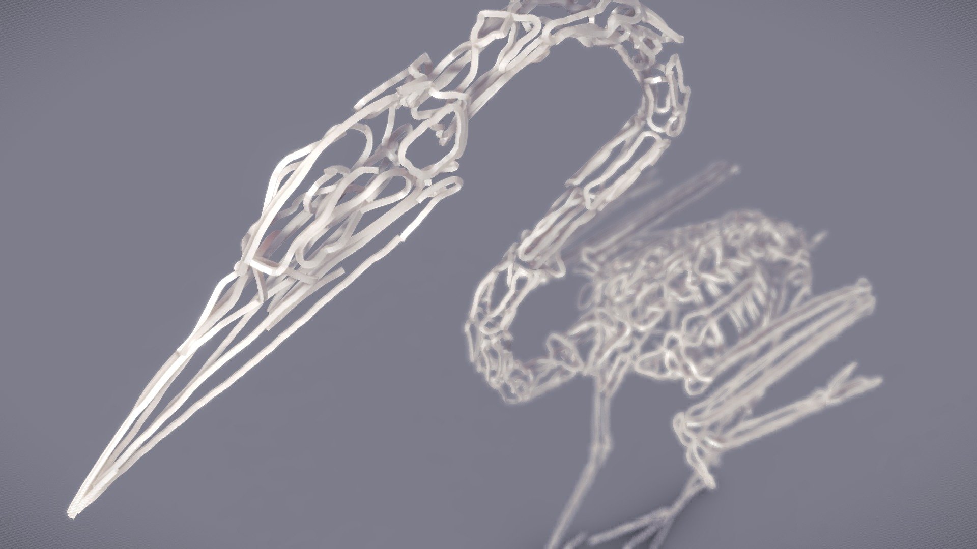 Heron skeleton - 3D model by sy-kim [0a5361e] - Sketchfab