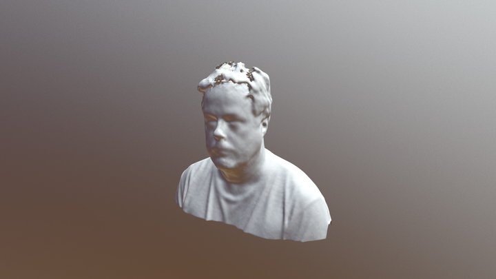 Tom Portrait 3D Model