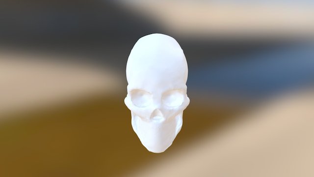 Skull 3D Model