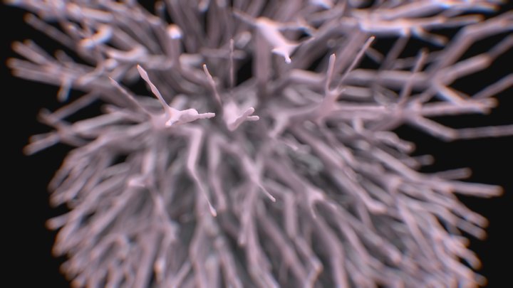 Coral_test02 3D Model