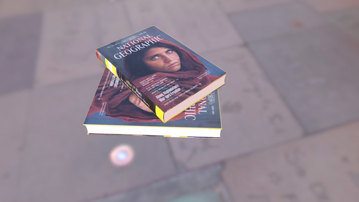 National Geographic Afghan Girl Sharbat Gula 3D Model