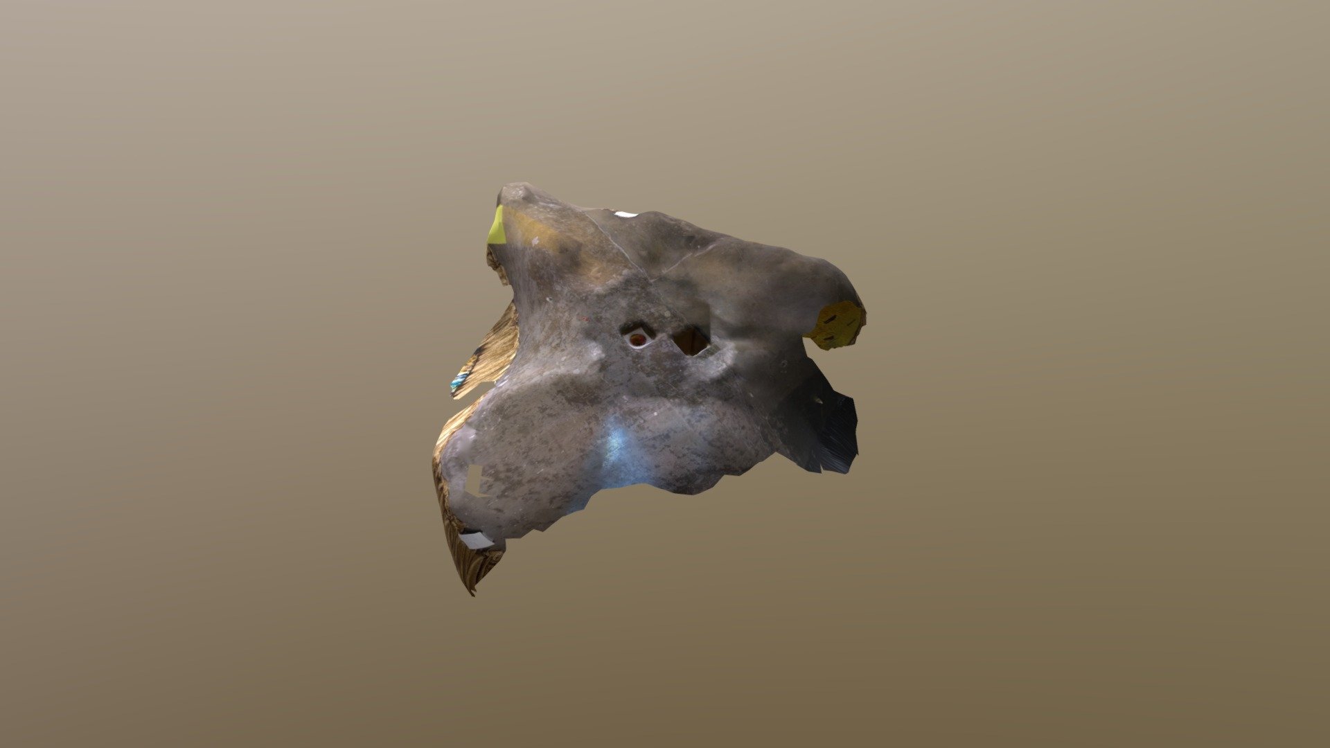 MODEL