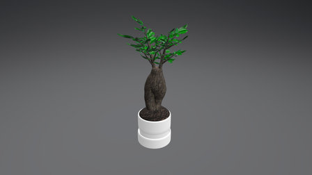 Bonsai Final 3D Model