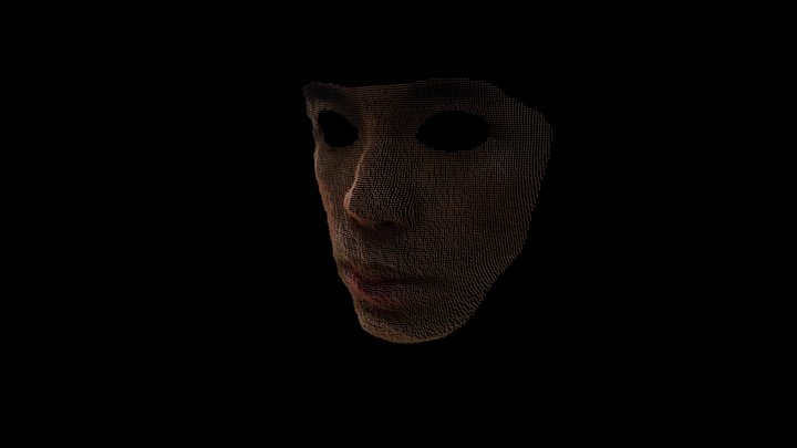 MP-ICP Face Isolation Demo #1 3D Model