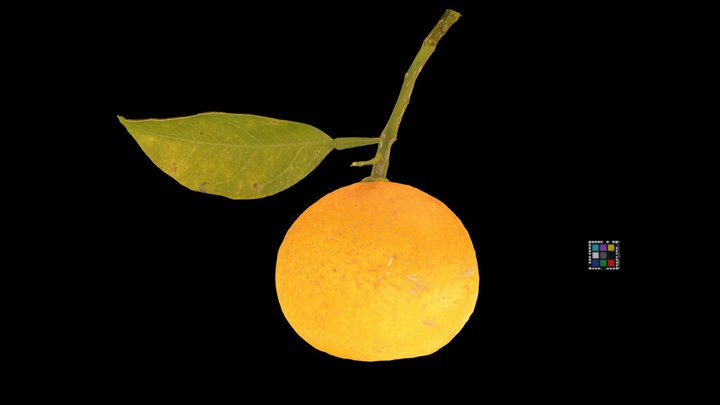 CC0 ナツミカン？ Summer Mandarin Orange