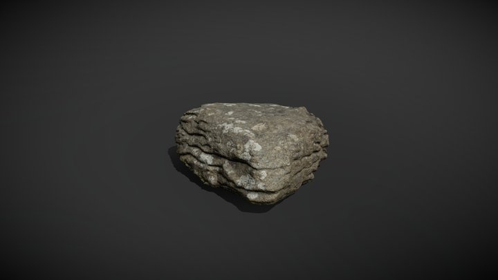 Rock 1 scan 3D Model