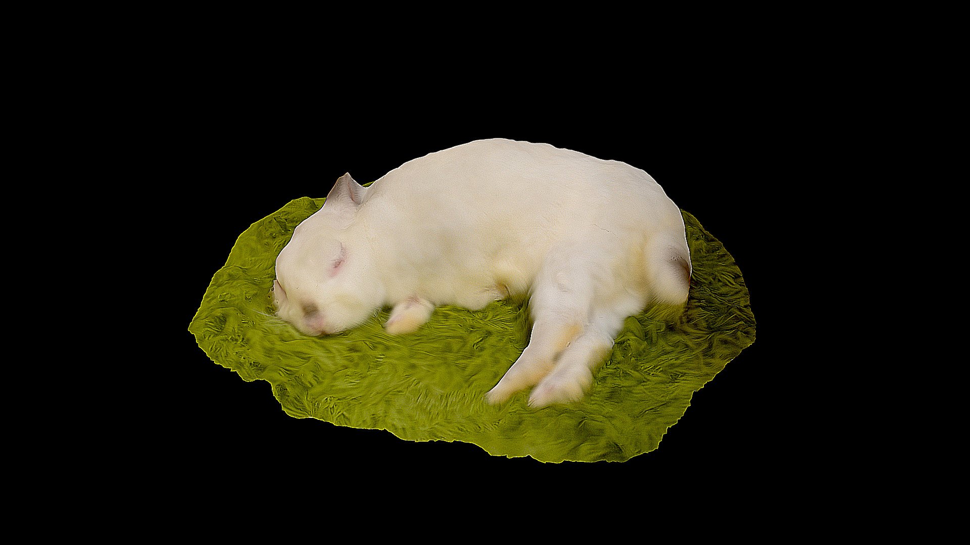 Sleepy John