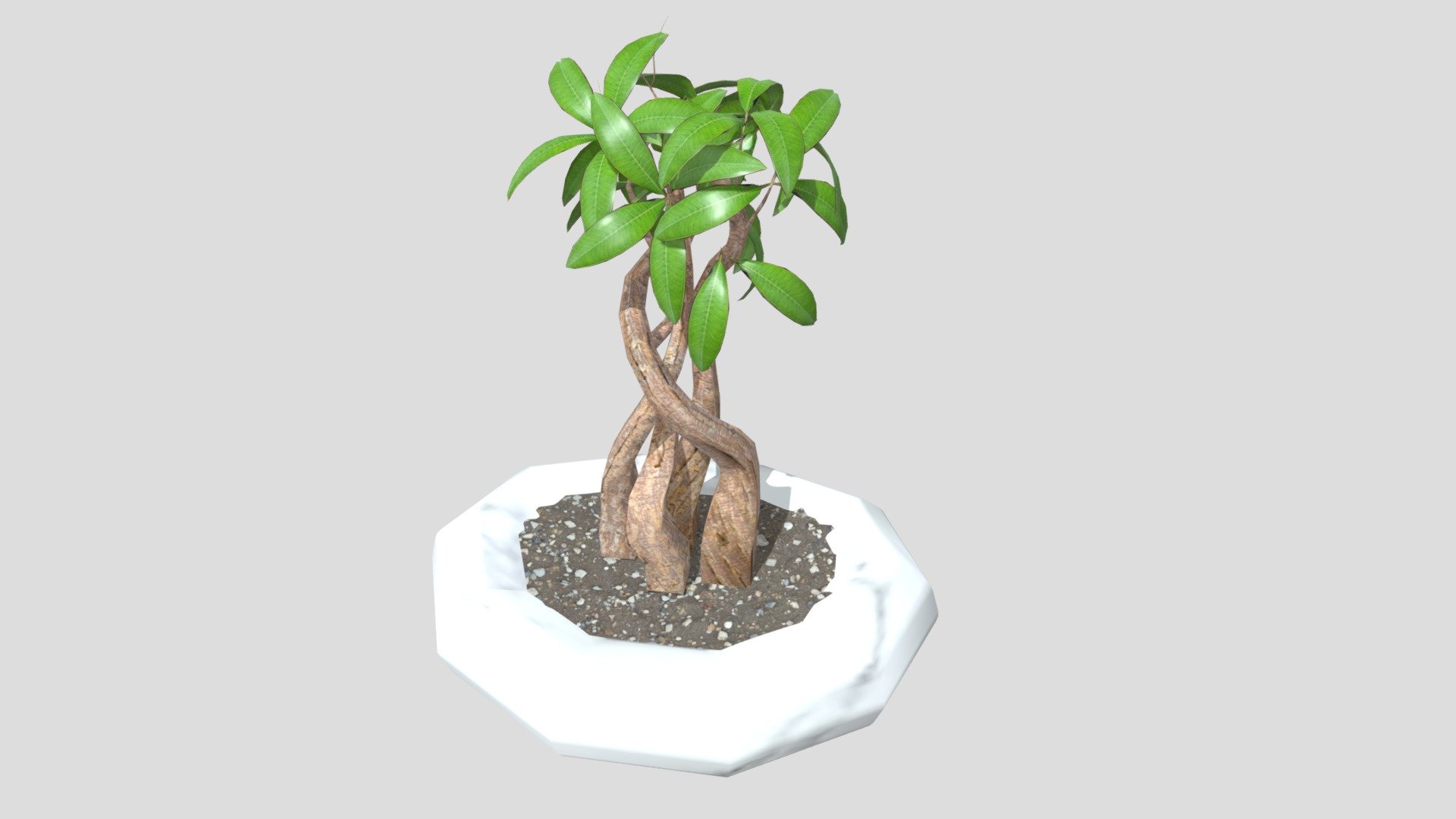 wk8_plant_nam