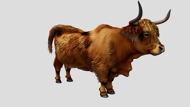 Highland Cattle cow – Gratis 3D-model STL