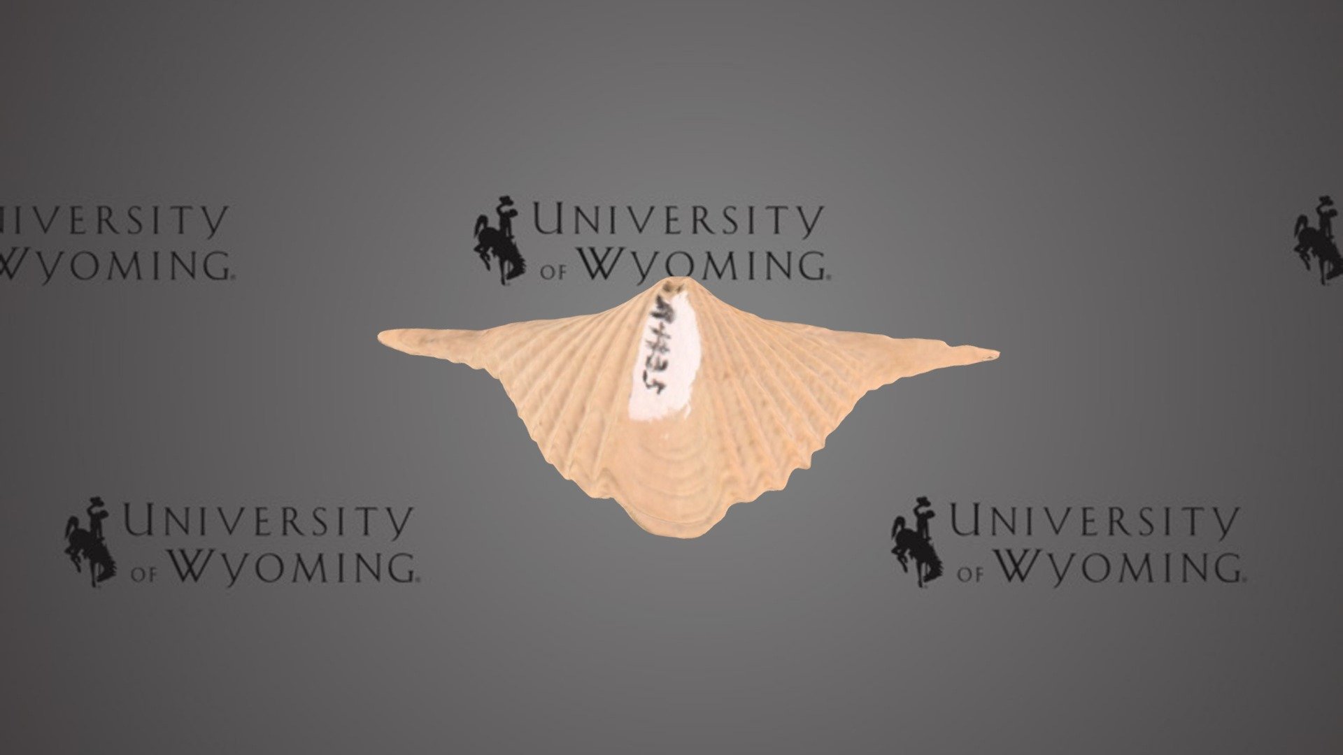 UWG A4435