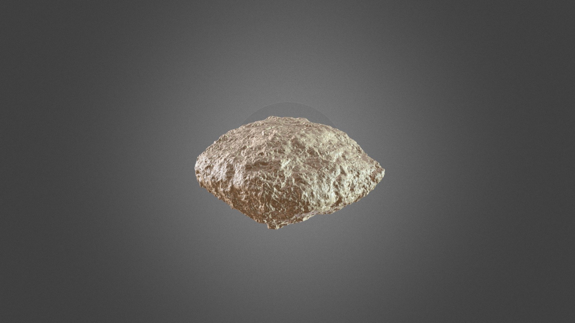 Carsioptychus Concretion