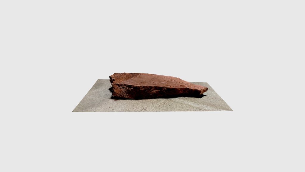 Raindrop impression fossil