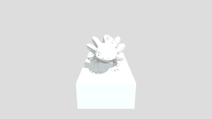 03_ Maqueta X 3D Model