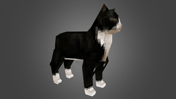 PSX-Styled Cat 3D Model
