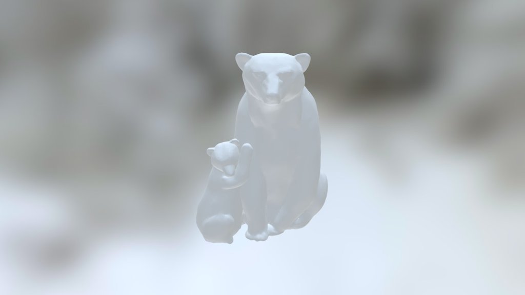 Polar Bears