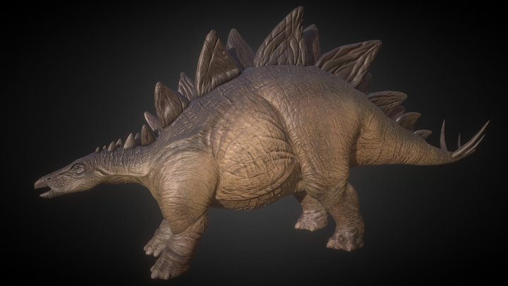 Stegosaurus (Dinosauria) 3D Model
