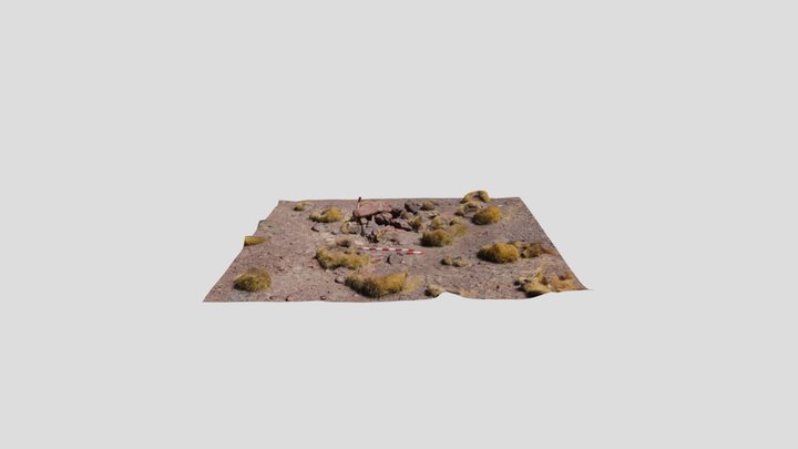 PA-25* 3D Model