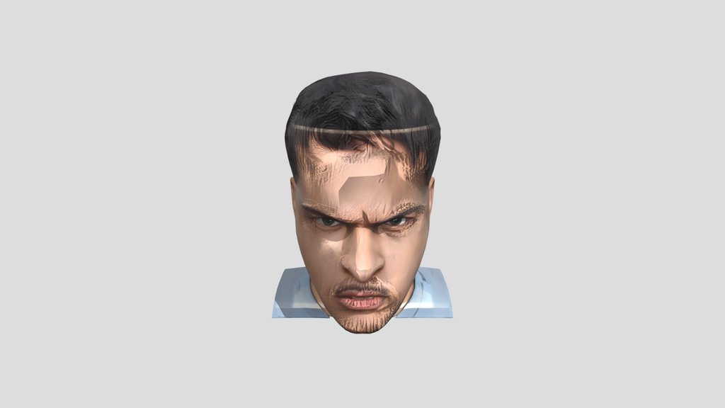 frontal portrait of a human head with hair