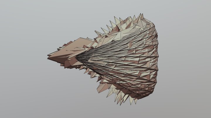 Modded Torus 3D Model
