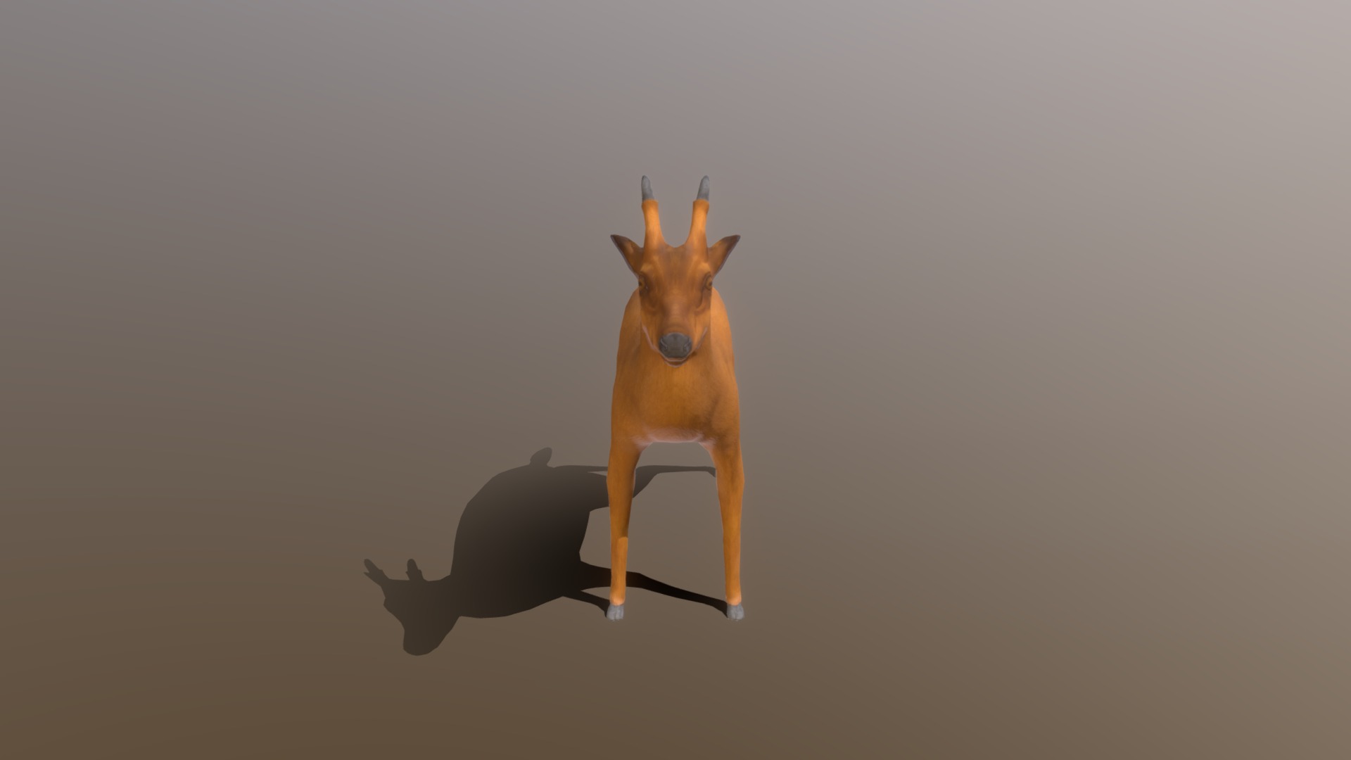 3D model Deer - This is a 3D model of the Deer. The 3D model is about a dog standing on a surface.