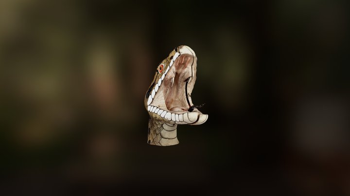 Cabeza de Víbora del Dr. Auzoux 3D Model