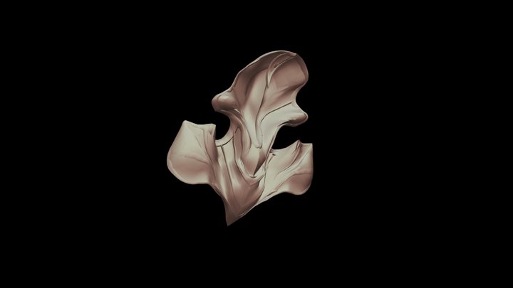 Лепесток задний пасынок 3D Model