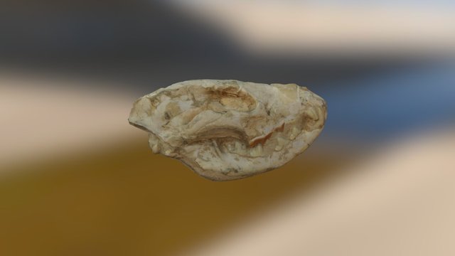 1252 3D Model