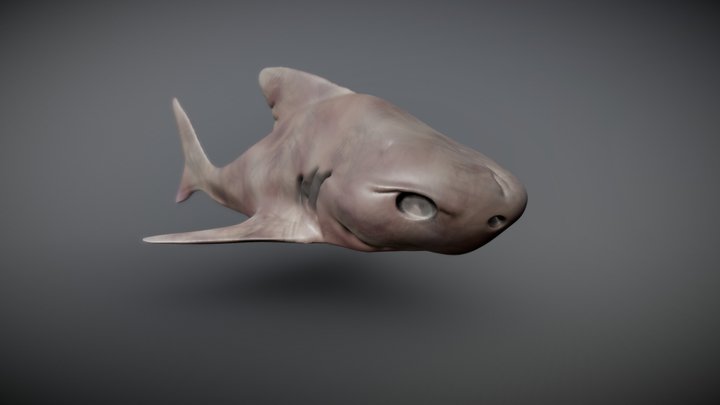 Zombie Shark