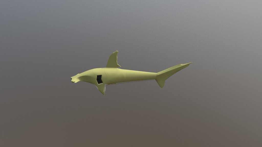 Hammer Head - 3D model by Nate_7 [0a88b7c] - Sketchfab