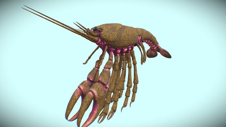 Cryfish 3D Model