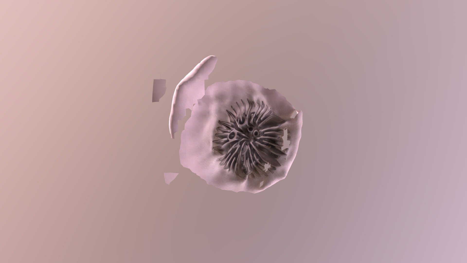 MODEL4