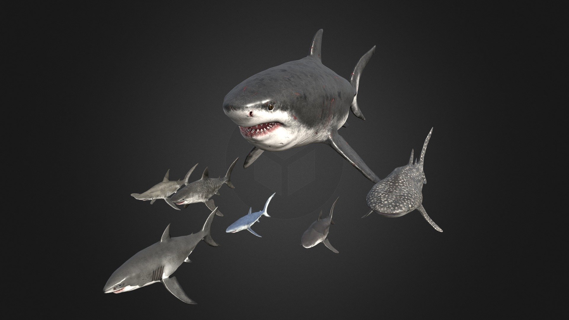 Blender Shark Model Download - Colaboratory