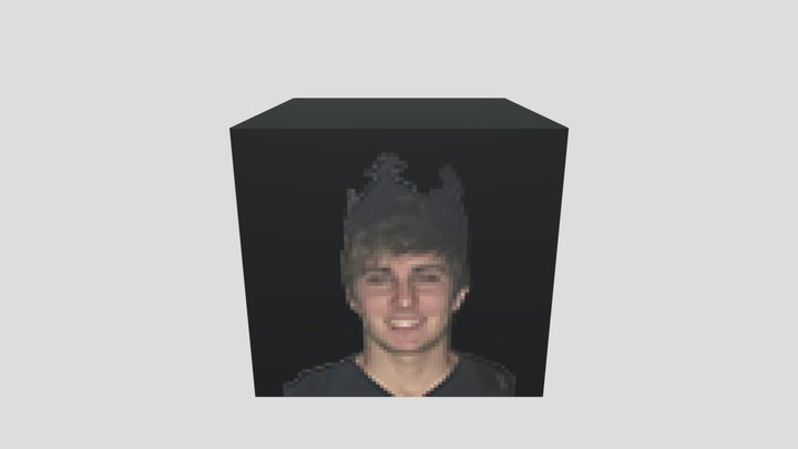 Pixel Portrait Box Export 3D Model