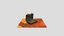 Loading 3D Model