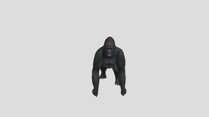 Gorillamotions 3D Model