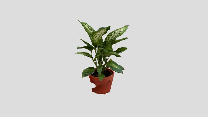Plant 3D Model