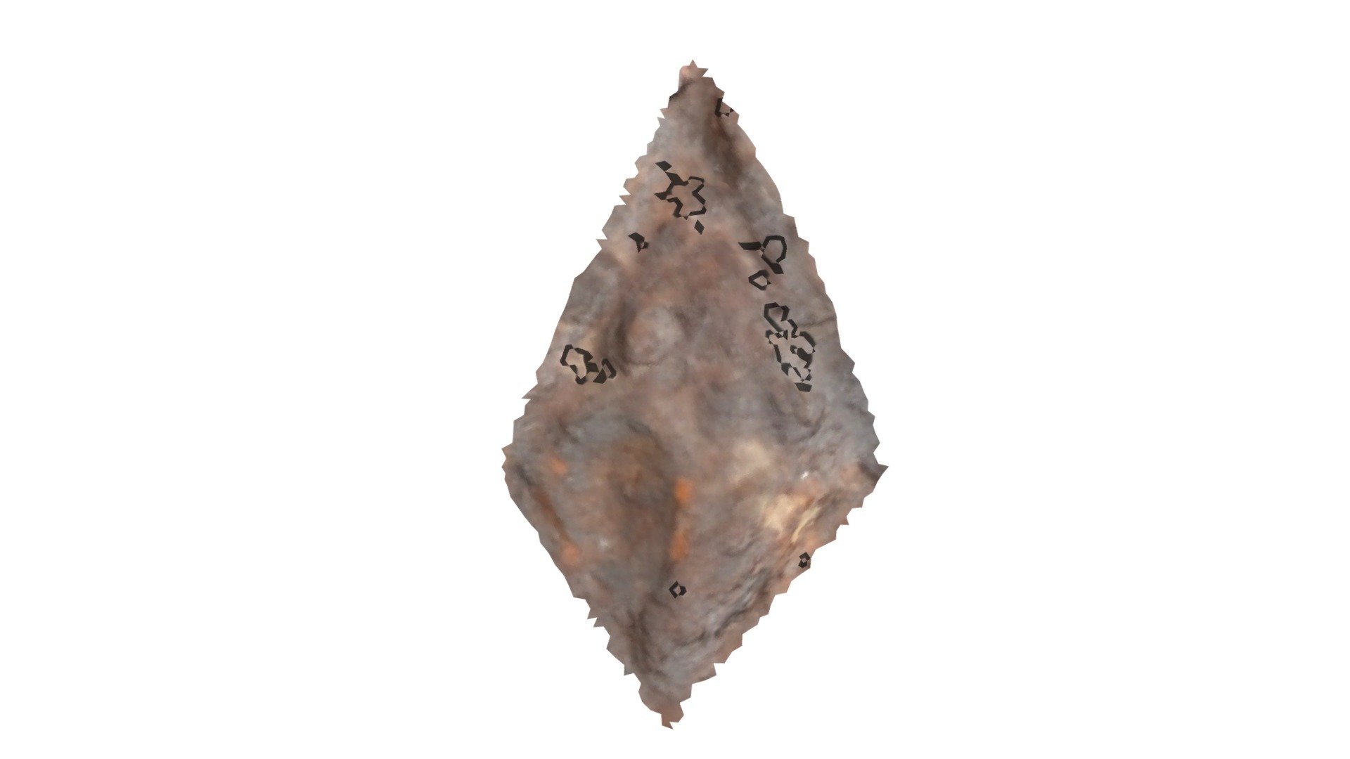 D5 - aurochs MNIR