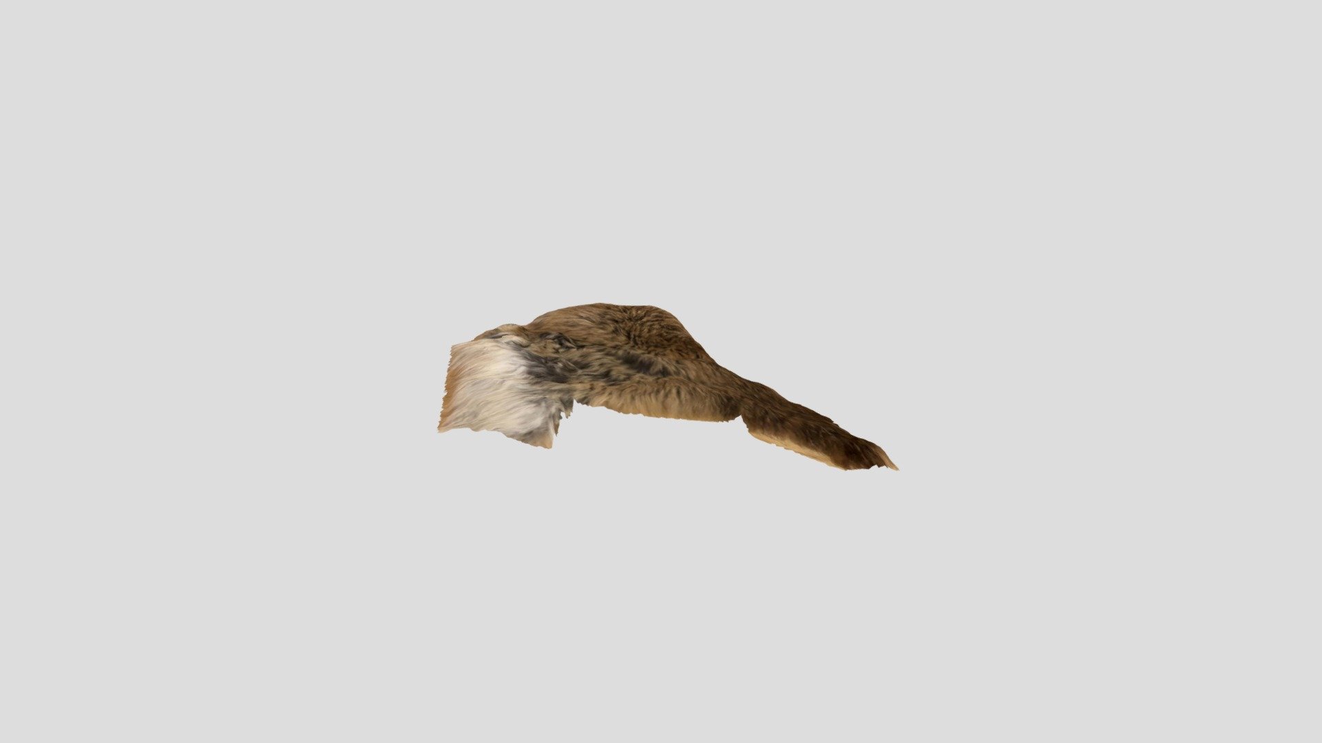 Rabbit fur