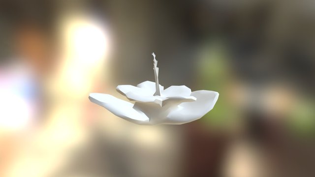 Hibisco 23 3D Model