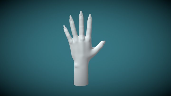 Hand 3D Model