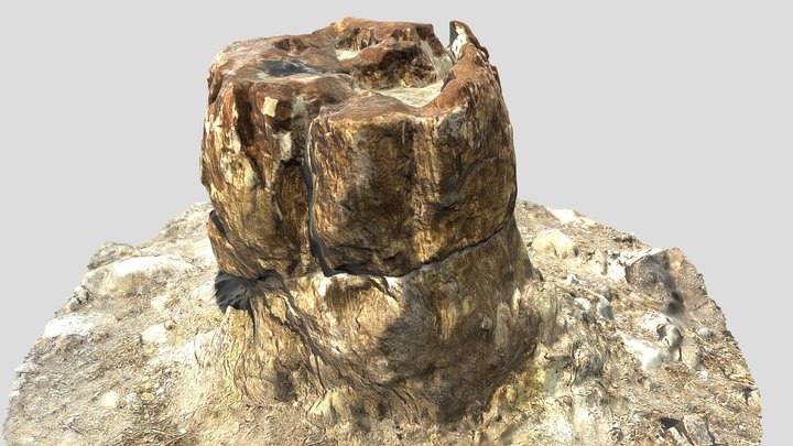Parko_Plaka_Petrified_Forest_Lesvos No.(F11) 3D Model